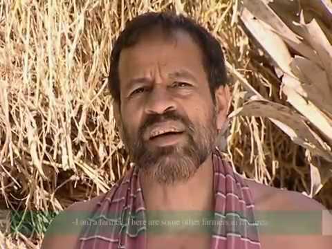 Tottho Amar Odhikar-2011 (NU)